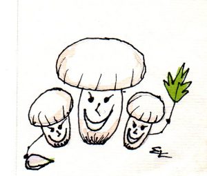 Handgemalt Illustration champignons
