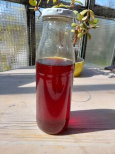 einfacher Karamellsirup