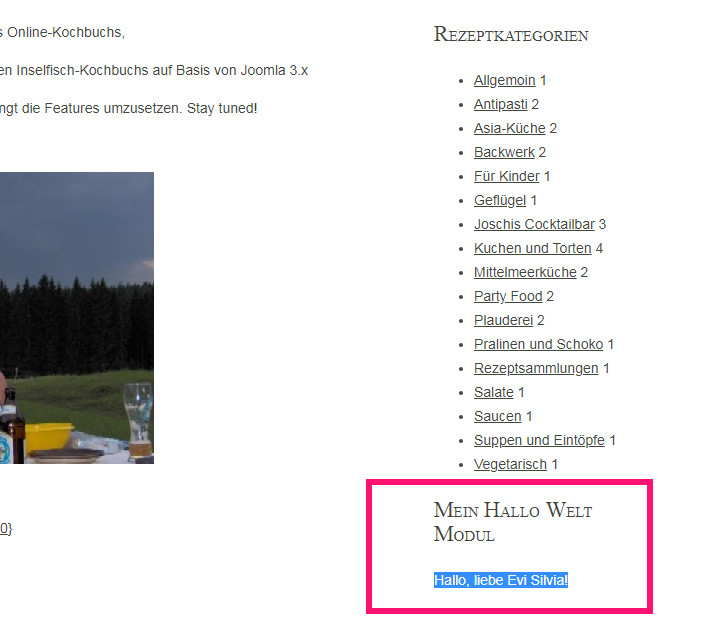 modul_anzeige